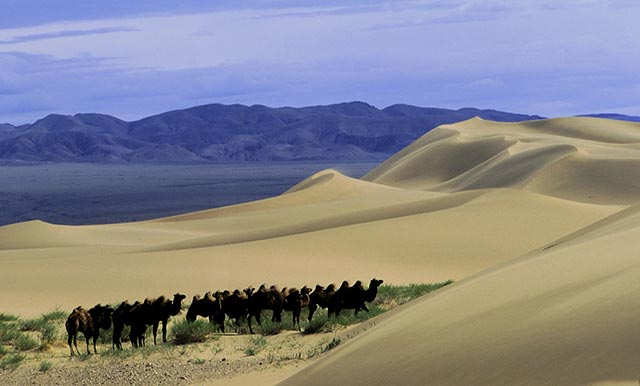Erdenebayar Erdenesuren, Photographer