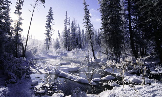 Erdenebayar Erdenesuren, Photographer